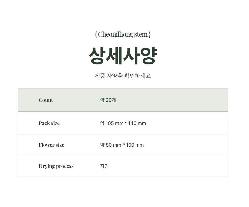 천일홍 인테리어 소품 활용 예시
