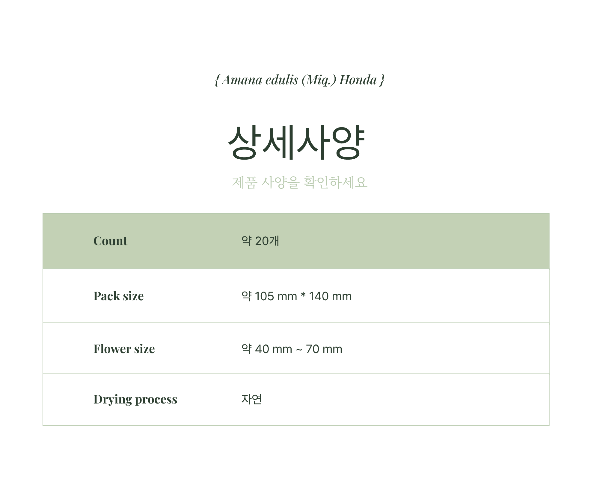 아마나 에둘리스 혼다 상품 상세 이미지 3
