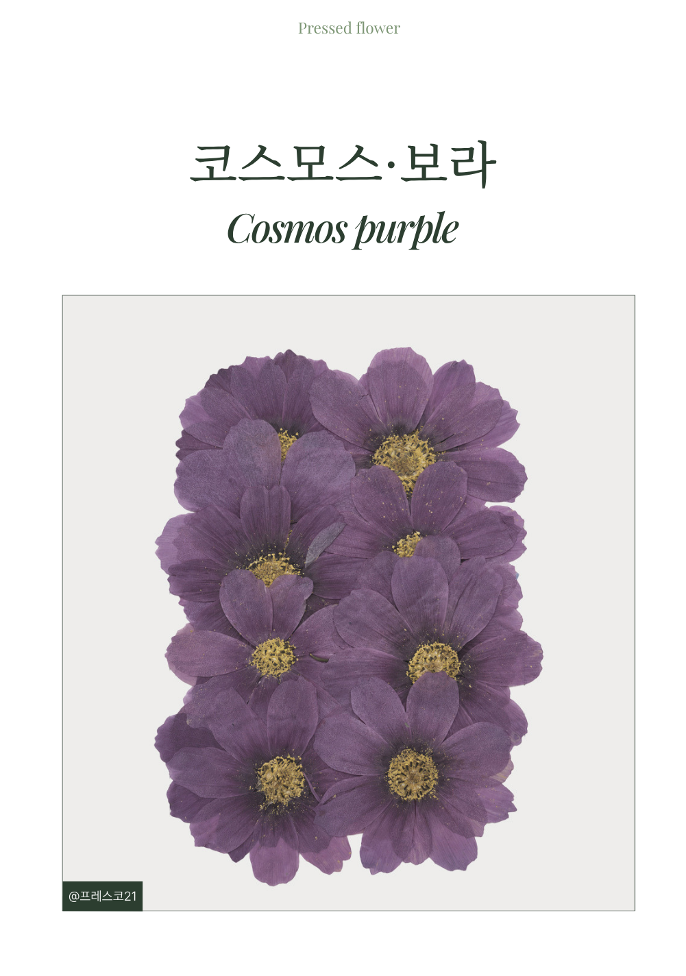 상세이미지 01