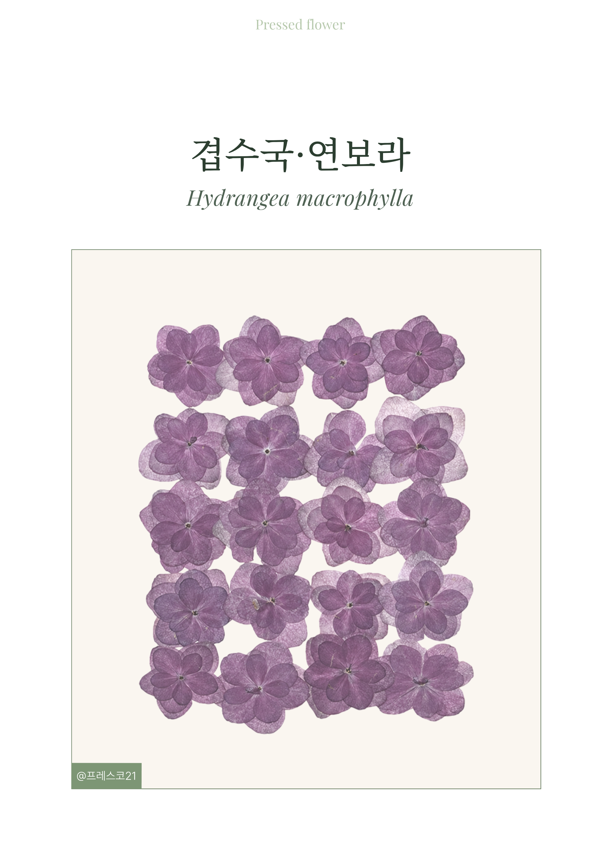 상세 이미지 1